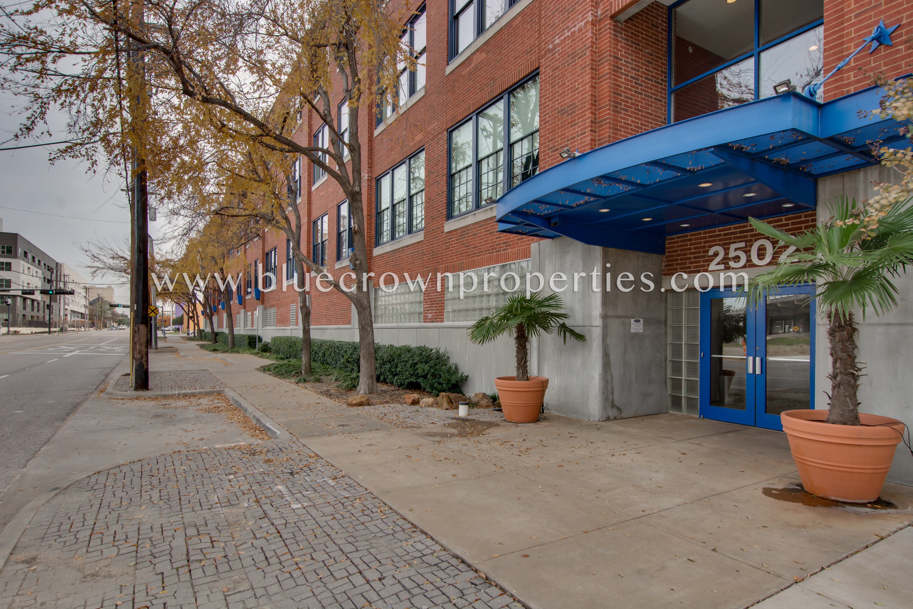 2502 Live Oak St Apt 336 — property photo 5